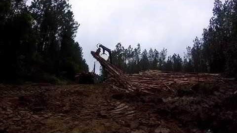 Tigercat 234B loading a Kenworth W900