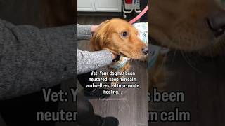 Definitely Mission Impossible