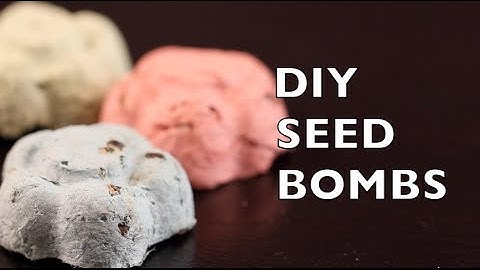 How To Make Seed Bombs | Seed Balls | Craft Idea DIY