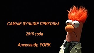 САМЫЕ ЛУЧШИЕ ПРИКОЛЫ 2015 ГОДА ! №1 YORK Лучшая подборка.