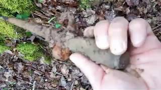 Download ww1 german trench relic rosalie 1914 Mp3 and Video ww1 german trench relic rosalie 1914