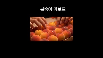 복숭아 키보드 #asmr #keyboard