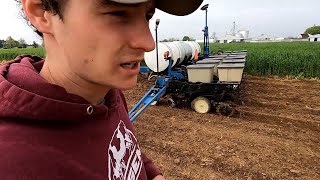 Planting Corn to Feed Dairy Cows