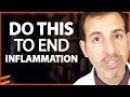 The Easy Steps To OPTIMIZE HEALTH & End Inflammation! | Dr. Roger Seheult