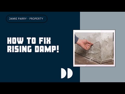 Damp Proofing |