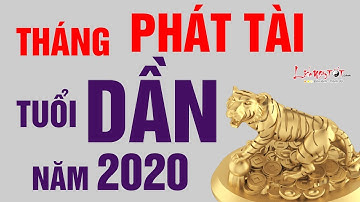 Tháng Phát Tài Tuổi Dần Năm 2020 Tài Lộc Đầy Tay Chẳng Lo Túng Thiếu - Tử Vi 12 Con Giáp