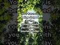 #alignment #gratitude #love #transformation #lawofattraction #abundance #wealth #shorts #peace