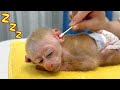 Baby monkey jic jic gets a manicure and massage from dad
