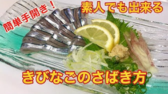 きびなご Youtube