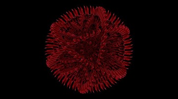 [PREMIERE] HRD.303 - Python [UNVA1]