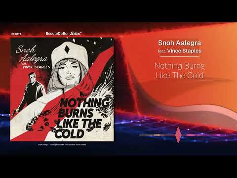 Snoh Aalegra - Nothing Burns Like The Cold feat. Vince Staples |[ Hip-Hop ]| 2017