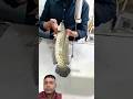 Gint Live Shola fish Amazing fish Cutting skills #shorts #amazingfishing #fishing