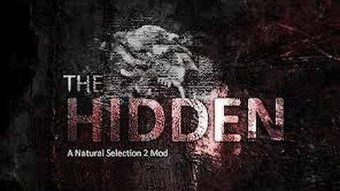 Having fun with admins and plugins (Hidden Source)