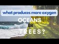 Do you know - what produces oxygen more? #subscribe