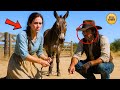 The Mother Widow's Mule Refused to Move... Until the Cowboy Realized What was Blocking her.