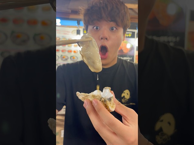 鎌倉で「生牡蠣」を食う　#oysters #海鮮好き #mukbang #生牡蠣 #飯テロ