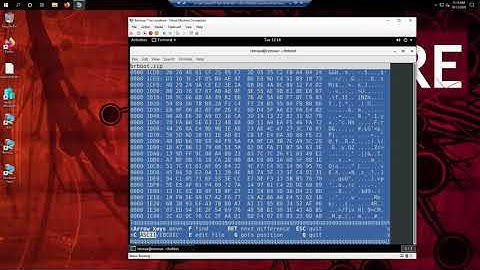 Static Analyisis of brbbot executable