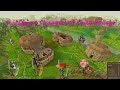 Middle of video