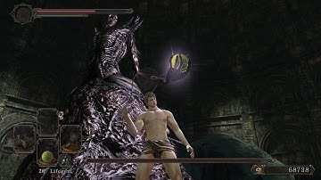 SO CLOSE TO SUB 14:20 :( - Dark Souls II Any% Speedrun in 14:20 RTA No Load (Former World Record)