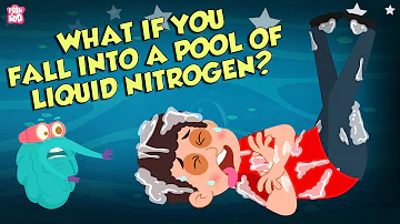 What If You Fall Into A Pool Of Liquid Nitrogen? | Hypothermia | Dr Binocs Show | Peekaboo Kidz