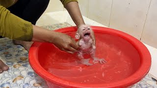 NB Monkey N-A-S-T-Y REFUSE To Having Morning Bath Routine