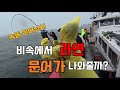 Will Nokdong Octopus Fishing Be A Success On A Rainy Day Will Nokdong Octopus Fishing Be A Success On A Rainy Day