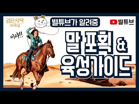   검은사막M 말 포획 육성 가이드 말 포획 육성 방법 8세대말 스킬추천 등 2020 06 20