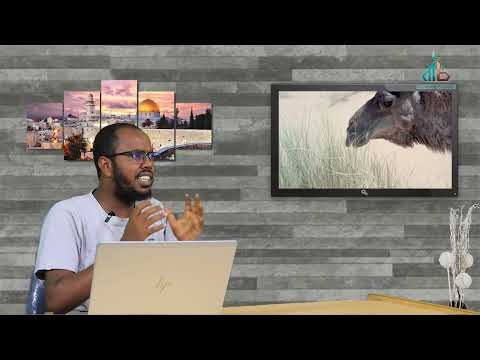 Dhugumatti Khun Uumaa Addaati Sagantaa Xiinxalii تأمل Dr Bahatole Ahmad Kutaa 1ffaa A