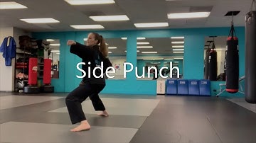 High punch, Side Punch, Low Block/Reverse Punch Combo