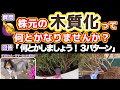 【木質化をなんとかしたい】対応策３つ・チビちゃんサマーカット・強い雷雨でグッタリももいろハート