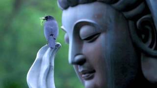 Video thumbnail of "Great Compassion Mantra / Ani Choying Drolma"