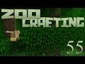 Wild Cat Chase, Part Three 🐘 Zoo Crafting: Episode #55