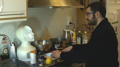Embodied Language Grounding in Human-Robot Collaboration