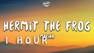 Download Lagu [ 1 HOUR ] MARINA - Hermit The Frog (Lyrics) MP3