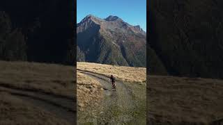 Have You Seen Anything Like This?