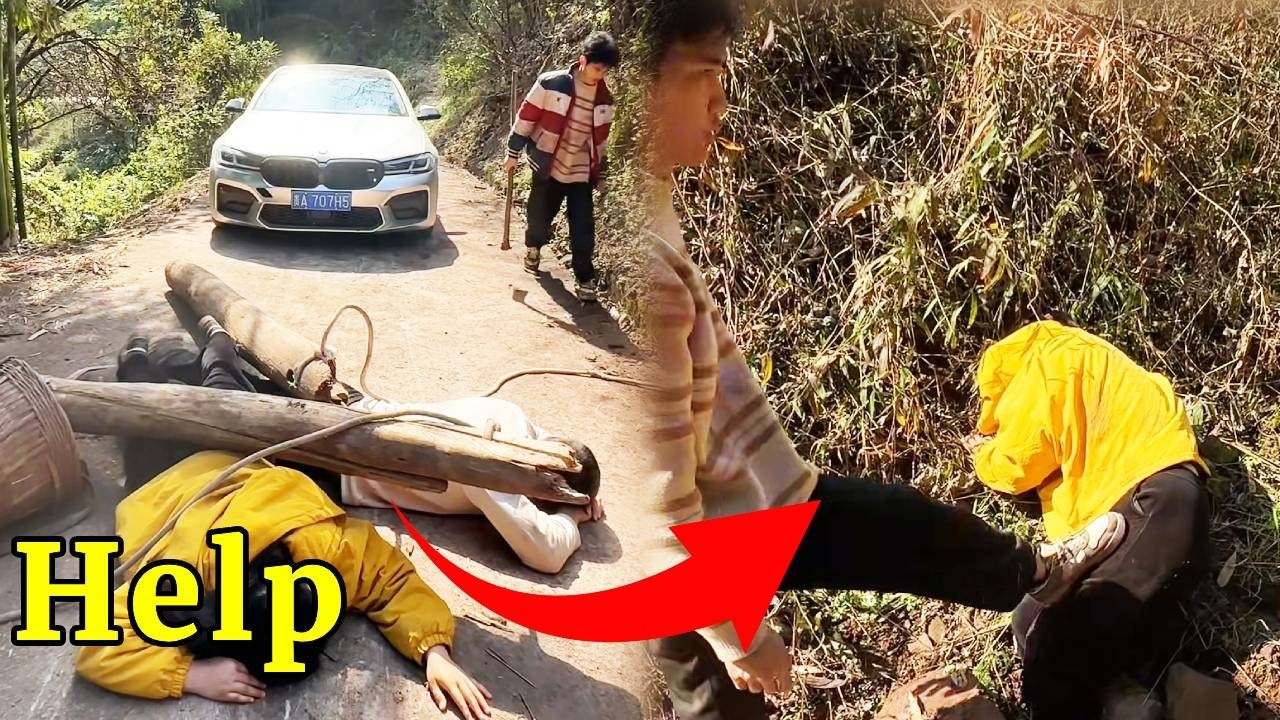 司机上班的必经之路被木头砸晕的女子占满，本以为他要下车救人，谁料随意拖到路边扔掉！#funny