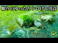 【熟睡用BGM】トロける川音でたっぷり睡眠をおとりくださいね