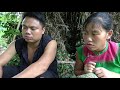 Primitive Life: Meet Crocodile At The Swamp - Big Crocodile Attacks Girl