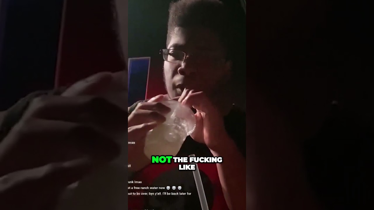 Unforgettable Dog Moments  Making Memories That Last