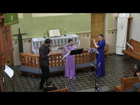 Видео: Буамортье. Соната V для трио флейт соль-мажор op.7
