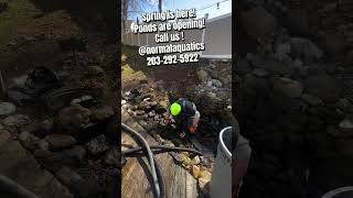 Connecticut Pond Spring Opening & Maintenance Services | Normal Aquatics