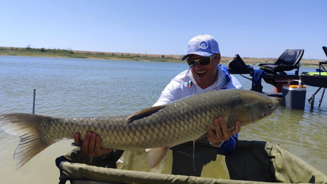 В царството на големите шарани - риболов с метод фидер на яз. Тръстиково.