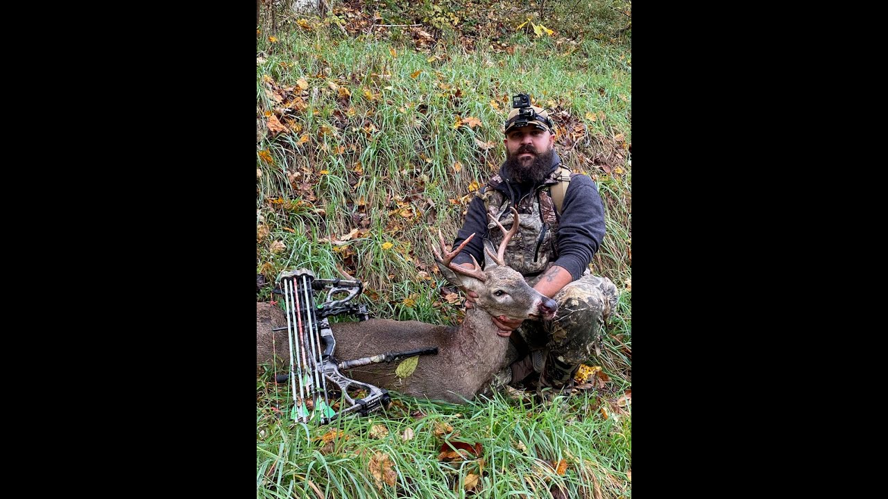 Wv pre-rut buck SUCCESS and chasing a some good black bears!