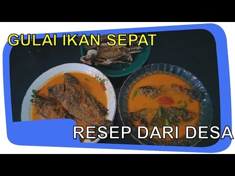 ngintip-resep-masakan-mamak-ku..!!-gulai-ikan-sepat-siam-resep-dari-desa-rasa-mantap...