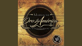 Video thumbnail of "Mariachi Oro de América de Celestino Sánchez - Popurrí Ángeles Azules: Como Te Voy a Olvidar / 17 Años / Mis Sentimientos"