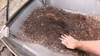 Largest Worm bin is NEVER full- European nightcrawlers