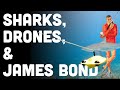Sharks Check Out 4K Underwater Drone - Chasing Gladius Mini Review