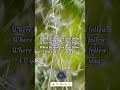 I have heard my Saviour calling #englishsongs #englishchristiansongs #hebronheadquater #english