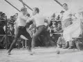 Old footage boxing vido  1898