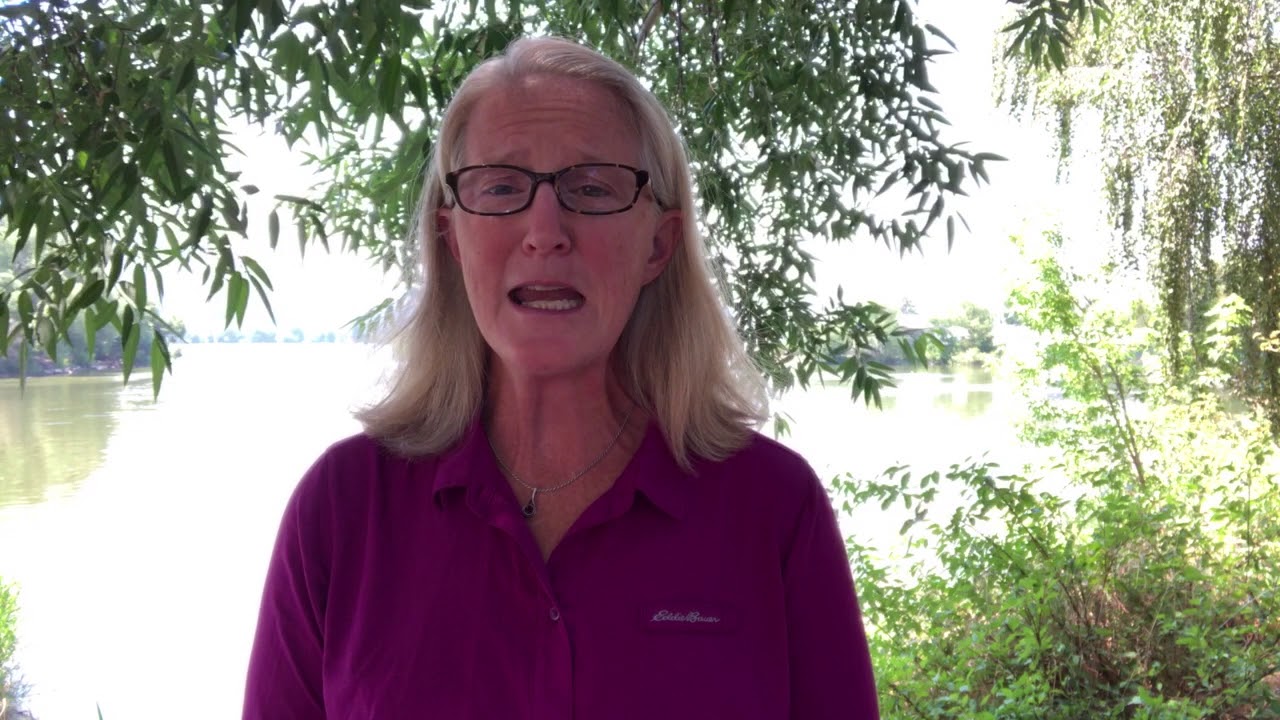 Launching of Website: drruthroberts.com | Dr. Ruth Roberts - YouTube